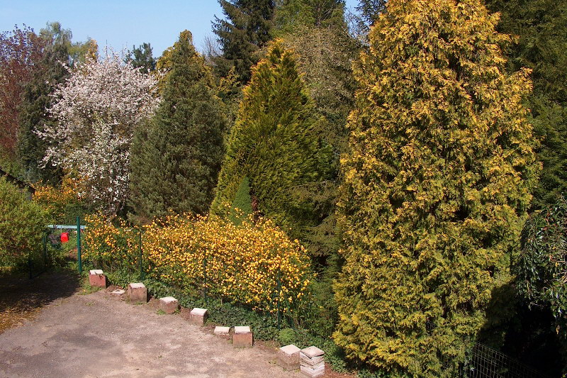 La Haie Fondue – photo